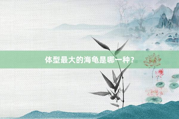 体型最大的海龟是哪一种？